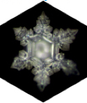 Water Crystal produced 3 minutes in bottle, by Emoto method